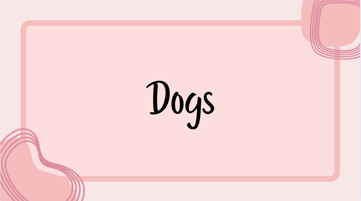Dogs
