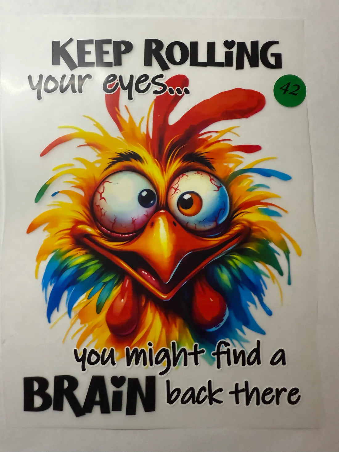 Funny Animals