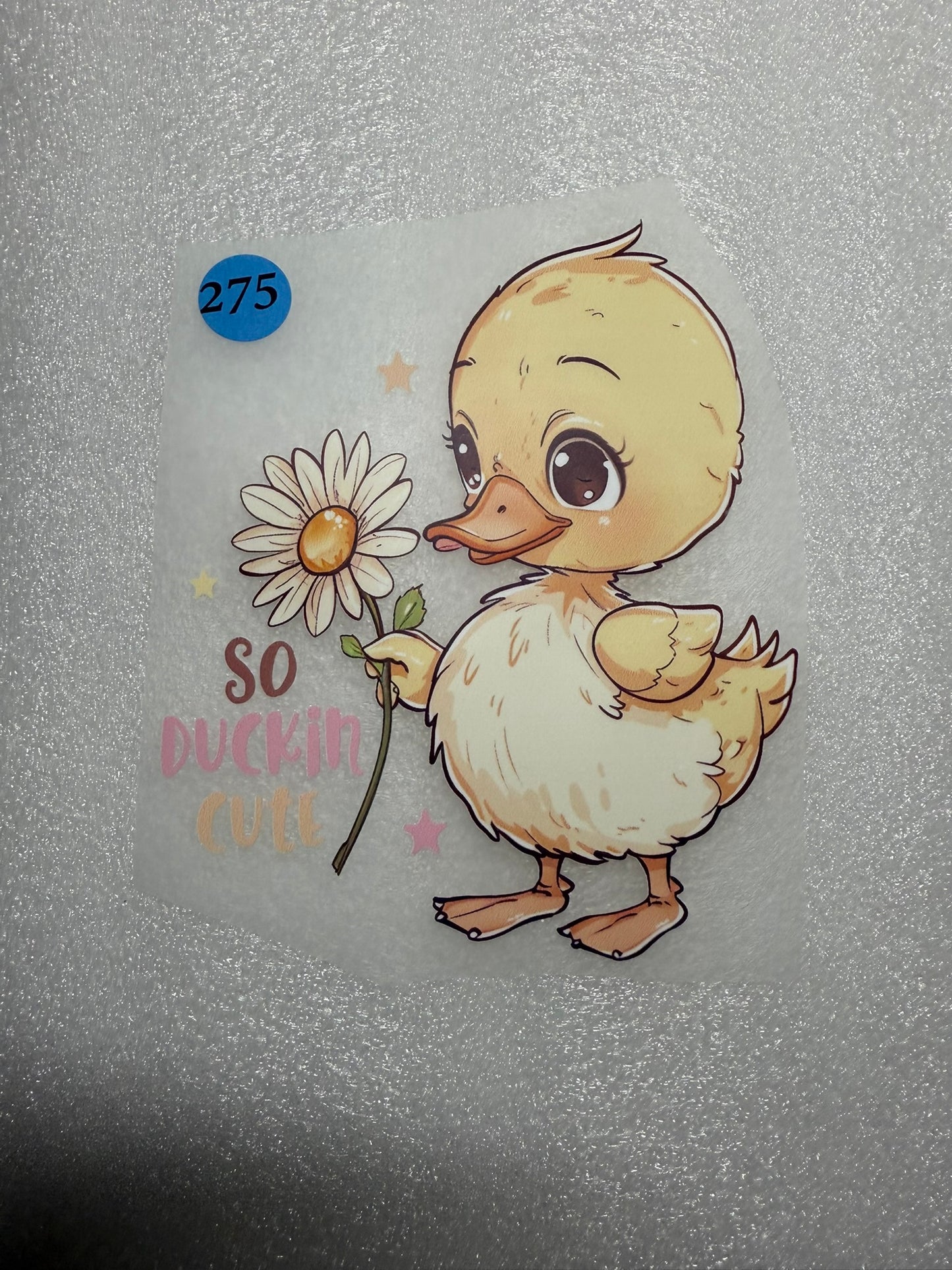 Infant