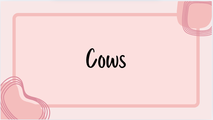 Cows