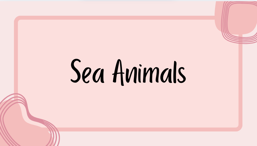 Sea Animals