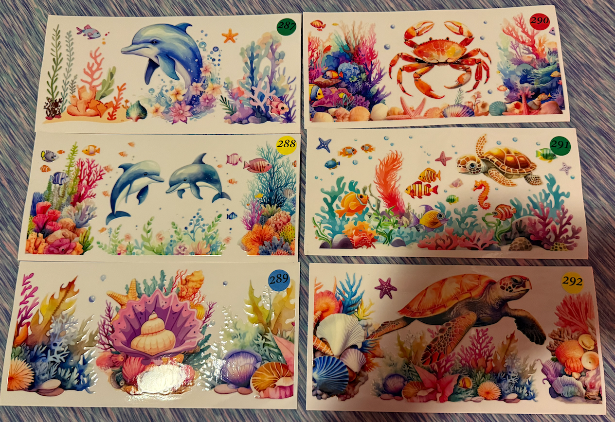 Sea Animals