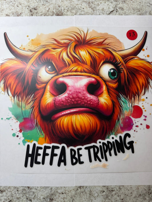 Cow