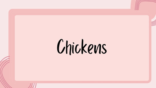 Chickens