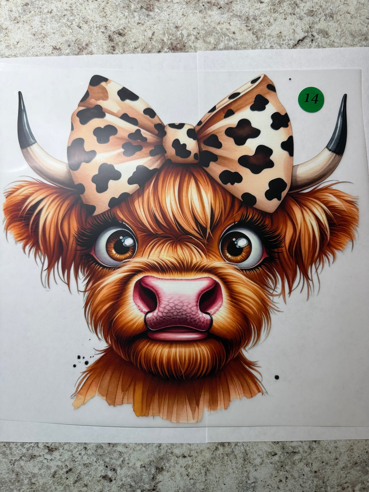 Cow