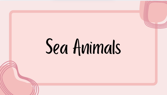 Sea Animals
